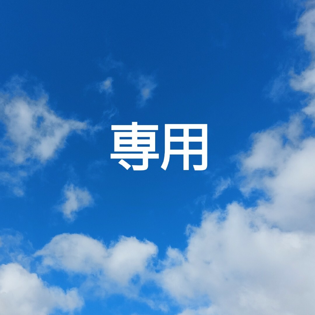 グラントイーワンズ ホルミーピローシート ホルミシス みなし 枕 グラントイーワンズ ホルミーピローシート ホルミシス みなし 枕