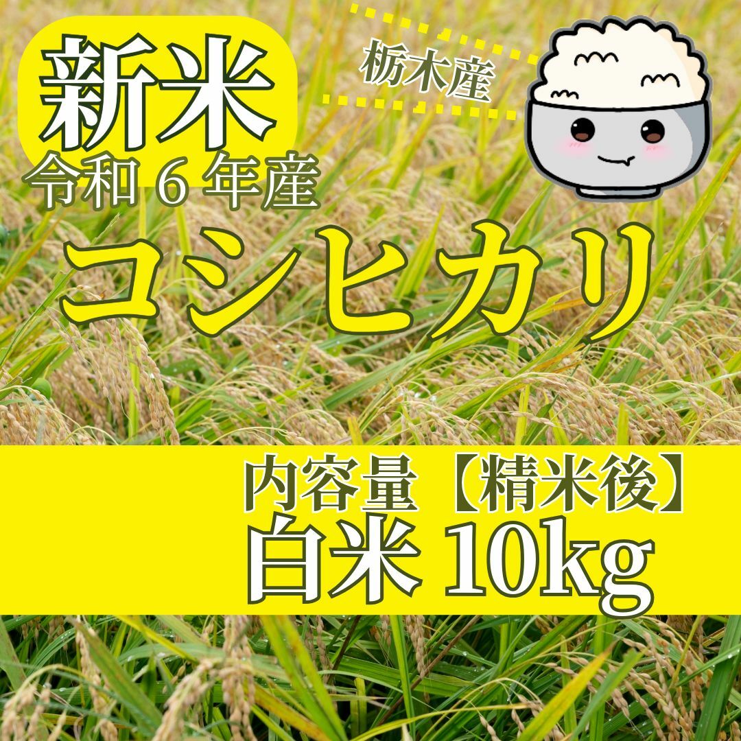 新米　令和６年産　コシヒカリ　白米10kg　ご購入後に精米します！