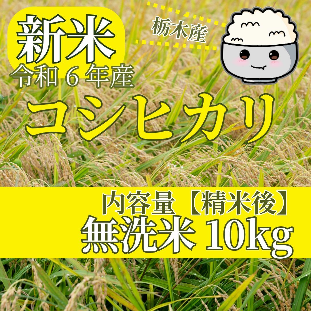 新米　令和６年産　コシヒカリ　無洗米10kg　ご購入後に精米します！