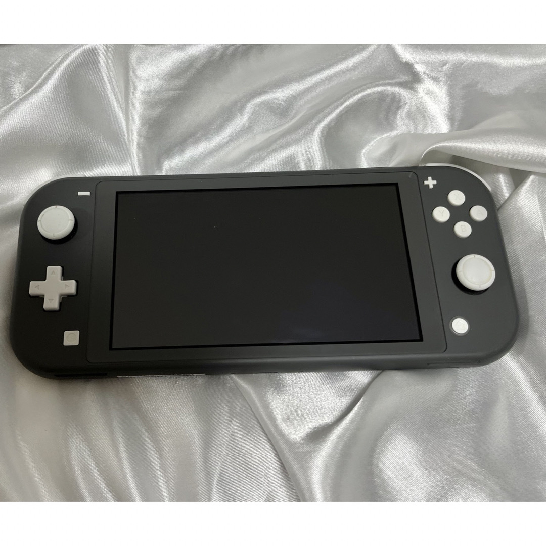 専門ショップ 本体+充電アダプタ】Nintendo Switch Lite / グレー 家庭用 ニンテンドースイッチ本体