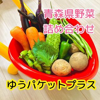 青森県産野菜　詰め合わせ　ゆうパケットプラス(野菜)