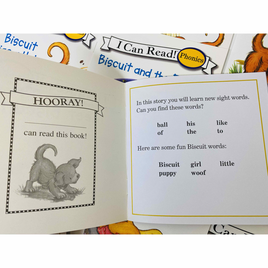 ビスケットフォニックス Biscuit Phonics 12冊 多読 洋書 ビスケットフォニックス Biscuit Phonics 12冊 多読 洋書