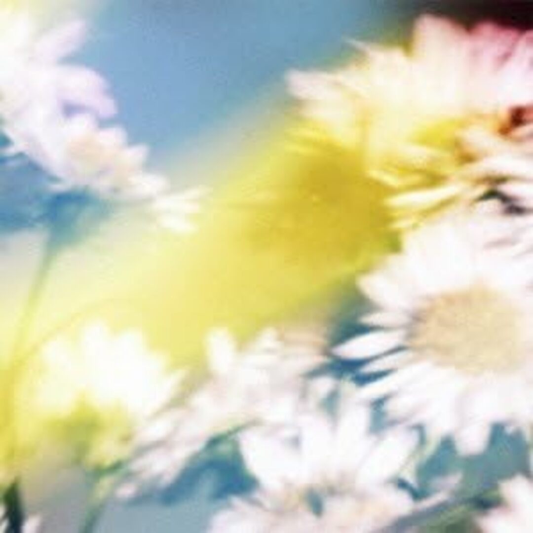【中古】シオン(初回限定盤A)(DVD付) / Plastic Tree(帯あり) エンタメ/ホビーのCD(その他)の商品写真