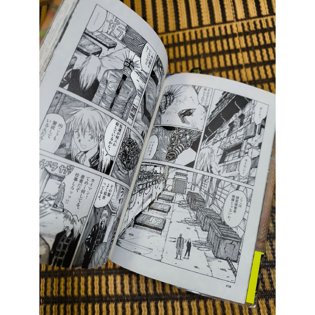 ドロヘドロ 1〜15 (BIG COMICS IKKI) 林田球 ドロヘドロ 1〜15 (BIG COMICS IKKI) 林田球