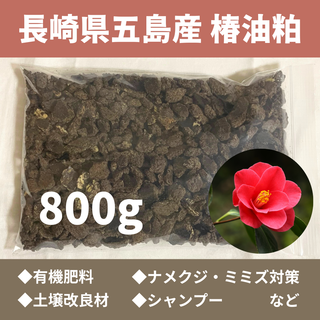 長崎県五島列島産 椿油粕 800g(その他)