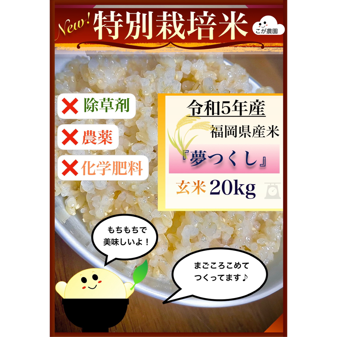 限定商品 準自然米 福岡県産「夢つくし」令和5年産 玄米20kg 限定商品 準自然米 福岡県産「夢つくし」令和5年産 玄米20kg