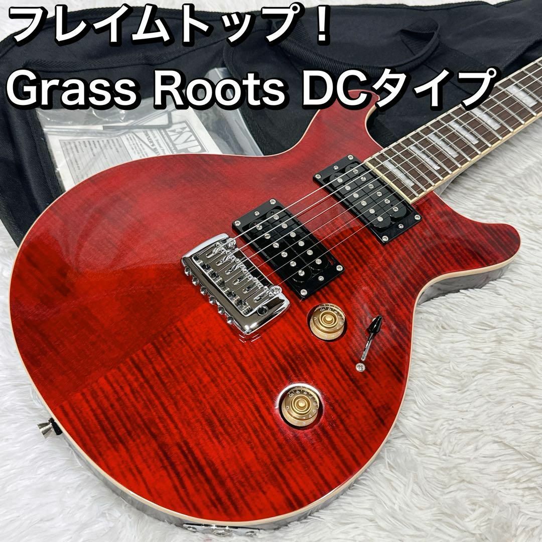フレイムトップ! GrassRoots DCタイプ グラスルーツ Knight フレイムトップ! GrassRoots DCタイプ グラスルーツ Knight