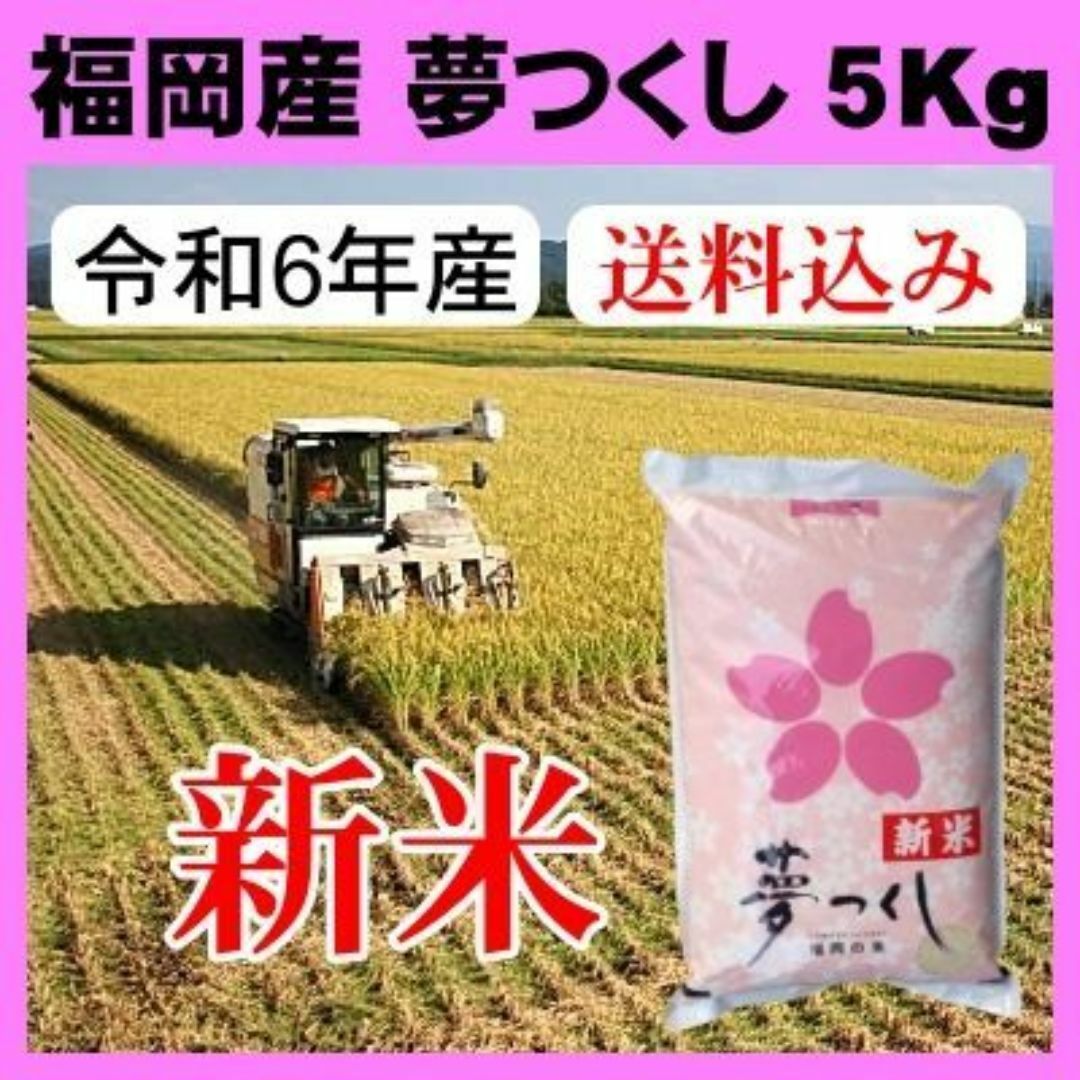 新米)福岡県産 夢つくし (白米)5㎏ 令和6年産 送料込み 新米)福岡県産 夢つくし (白米)5㎏ 令和6年産 送料込み