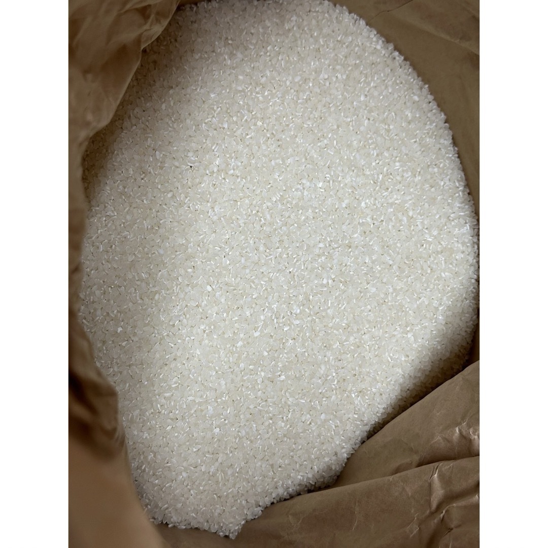 新米 愛媛県産 みままい 白米 27kg コシヒカリ 農家直送 令和6年刈 新米 愛媛県産 みままい 白米 27kg コシヒカリ 農家直送 令和6年刈