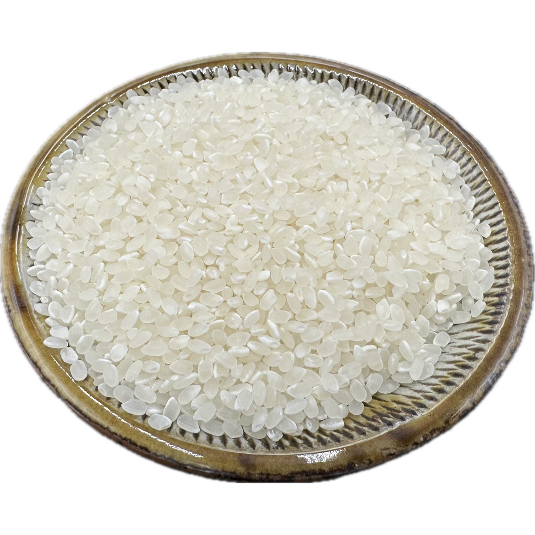 新米 愛媛県産 みままい 白米 27kg コシヒカリ 農家直送 令和6年刈 新米 愛媛県産 みままい 白米 27kg コシヒカリ 農家直送 令和6年刈