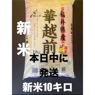 新米10キロ　令和6年産　8月下旬精米お米10キロ　華越前10kg  今晩に発送(米/穀物)
