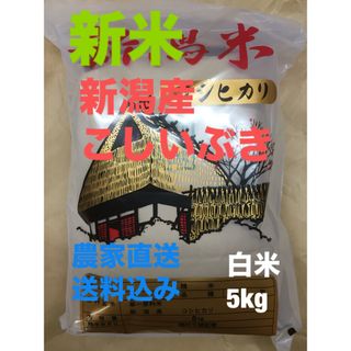 新米　新潟産こしいぶき令和6年　白米5kg(米/穀物)