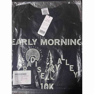 アメリカンラグシー(AMERICAN RAG CIE)のamerican rag cie　Tシャツ(Tシャツ/カットソー(半袖/袖なし))