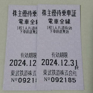 東武株主優待切符式　2枚セット　2024.12末まで有効　【送料無料】(鉄道乗車券)