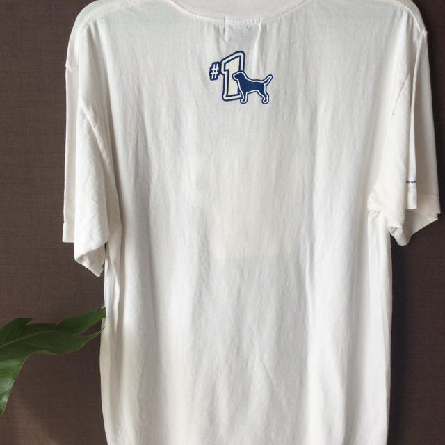 Labrador Retriever(ラブラドールリトリーバー)のLABRA Tシャツ メンズM 17 メンズのトップス(Tシャツ/カットソー(半袖/袖なし))の商品写真
