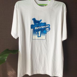 ラブラドールリトリーバー(Labrador Retriever)のLABRA Tシャツ メンズM 17(Tシャツ/カットソー(半袖/袖なし))