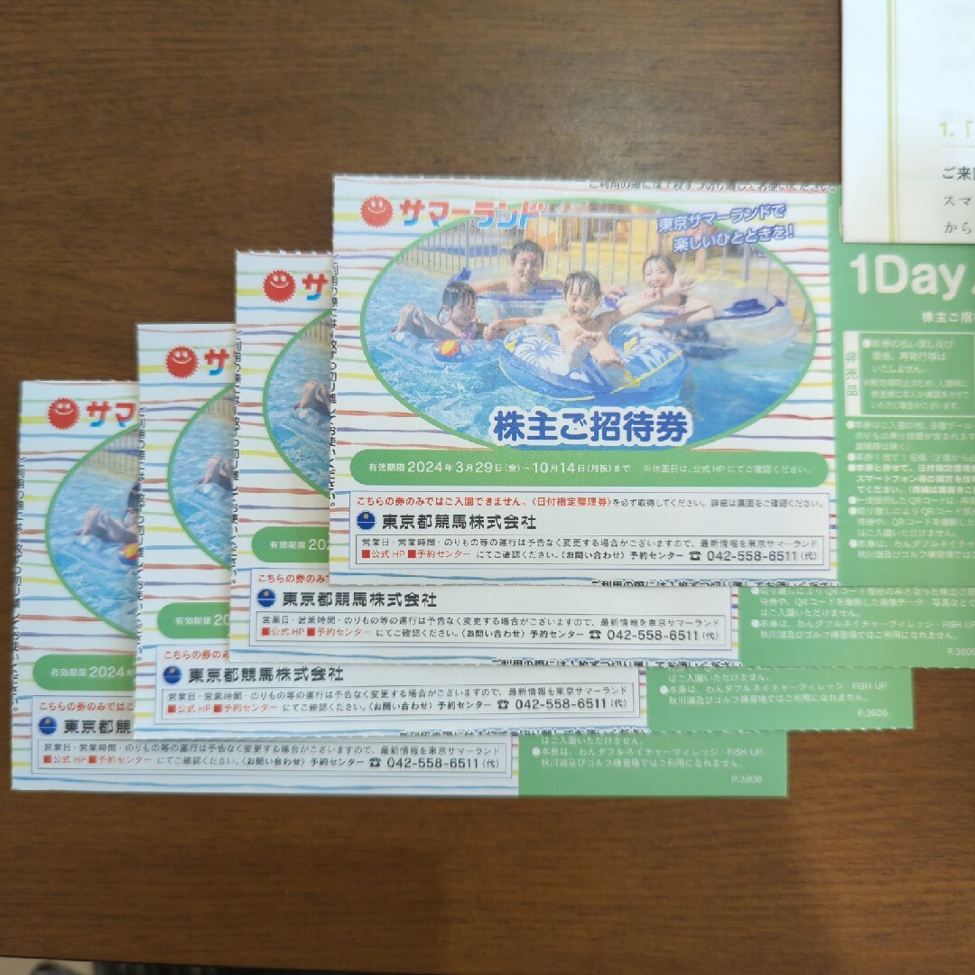 株主優待券 サマーランド 1Dayパス 4枚 株主優待券 サマーランド 1Dayパス 4枚