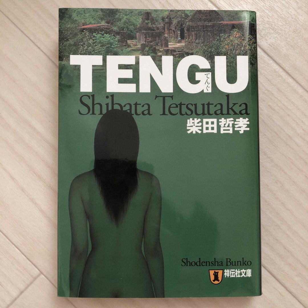 TENGU エンタメ/ホビーの本(その他)の商品写真