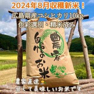 送料無料！2024年8月収穫の新米♫広島県産コシヒカリ白米10kg⭐︎色彩選別済(米/穀物)