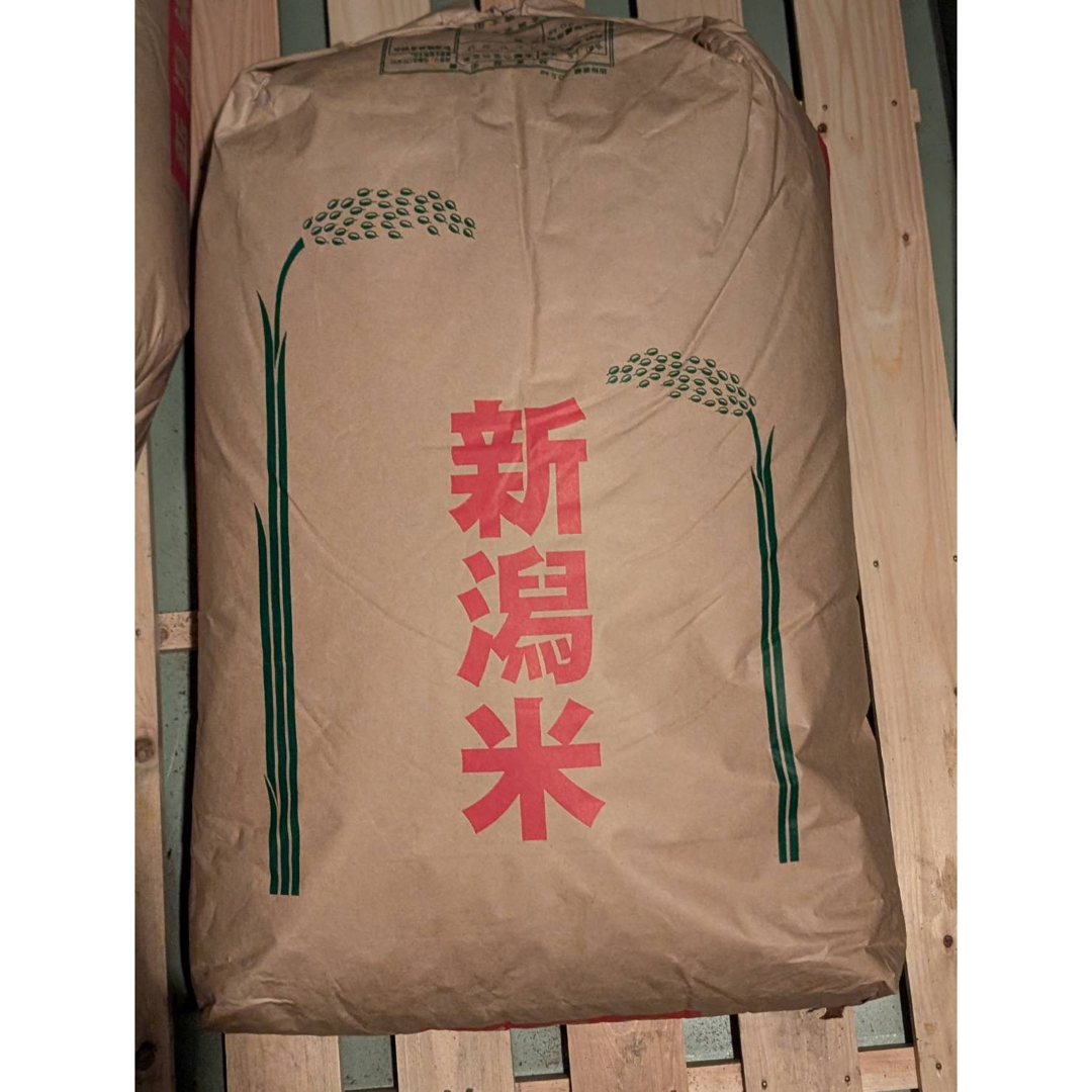 令和5年度産 新潟県産コシヒカリ 玄米 30kg 令和5年度産 新潟県産コシヒカリ 玄米 30kg