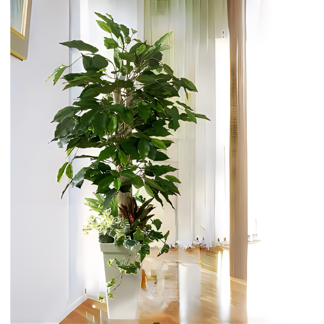 光触媒 人工観葉植物 ウォールグリーン フェイクグリーン 光触媒 人工観葉植物 ウォールグリーン フェイクグリーン