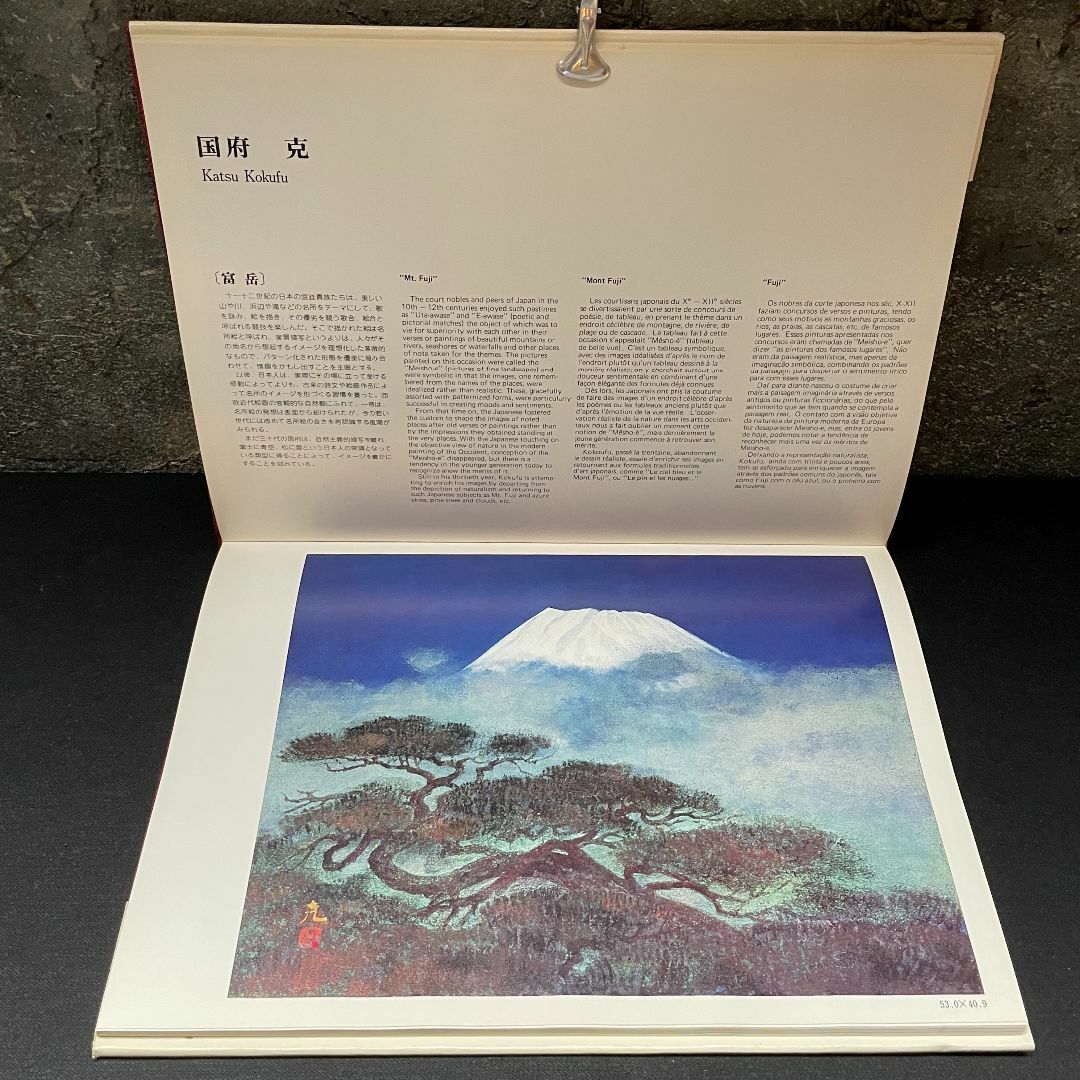 現代日本美術展 作品集 図録 アサヒ画廊発行 1976 サンバウロ