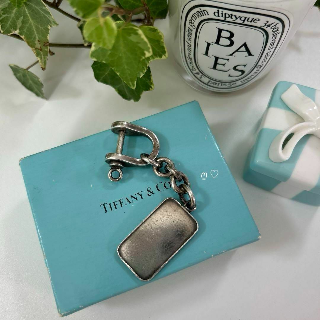 ティファニー TIFFANY インゴットプレート シャックル ティファニー TIFFANY インゴットプレート シャックル