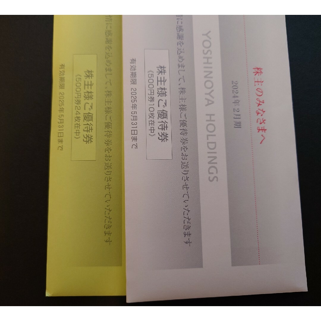 吉野家ホールディングス 株主優待 17000円 吉野家ホールディングス 株主優待 17000円