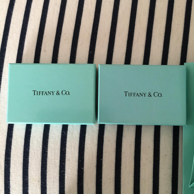 Tiffany & Co.(ティファニー)のTIFFANY&CO. 空箱 巾着 ショップ袋 レディースのバッグ(ショップ袋)の商品写真