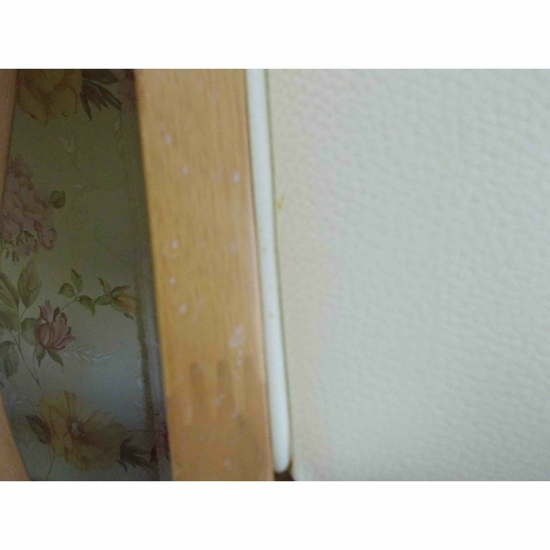ダイニングチェア2脚販売 食堂椅子 めちゃ軽椅子 沖縄など諸島部 ダイニングチェア2脚販売 食堂椅子 めちゃ軽椅子 沖縄など諸島部