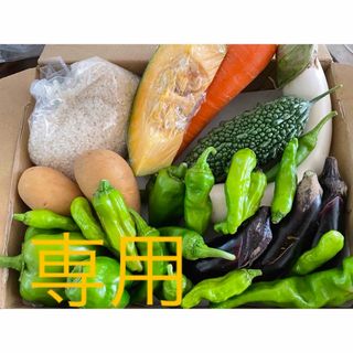 専用　野菜セット10-⑤米入り 農薬不使用　配送先地域限定(野菜)