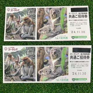 よこはま動物園ズーラシア／横浜市立金沢動物園　入園２枚(動物園)