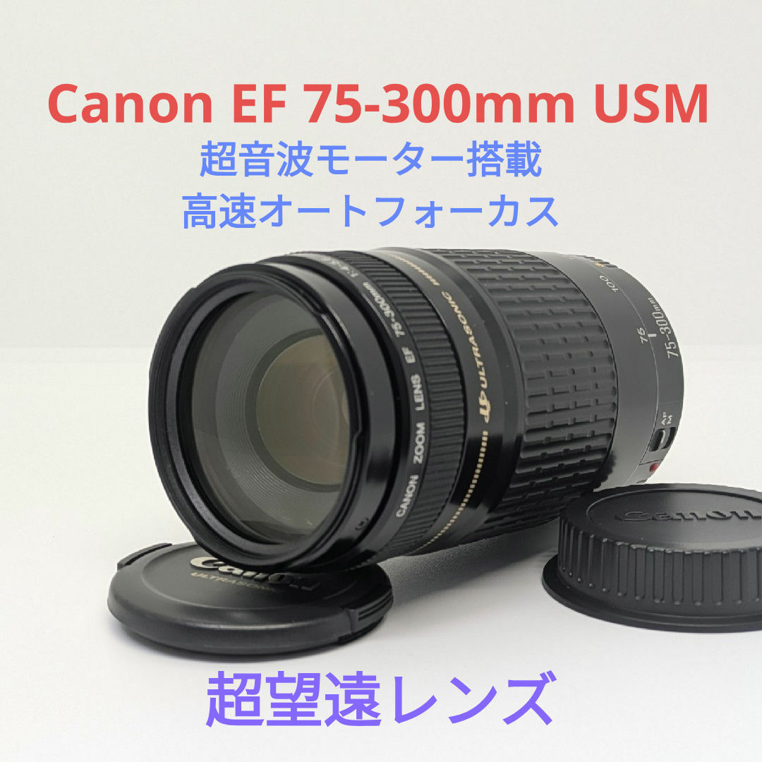 9月11日限定販売♪【超望遠レンズ】Canon EF 75-300mm USM 9月11日限定販売♪【超望遠レンズ】Canon EF 75-300mm USM