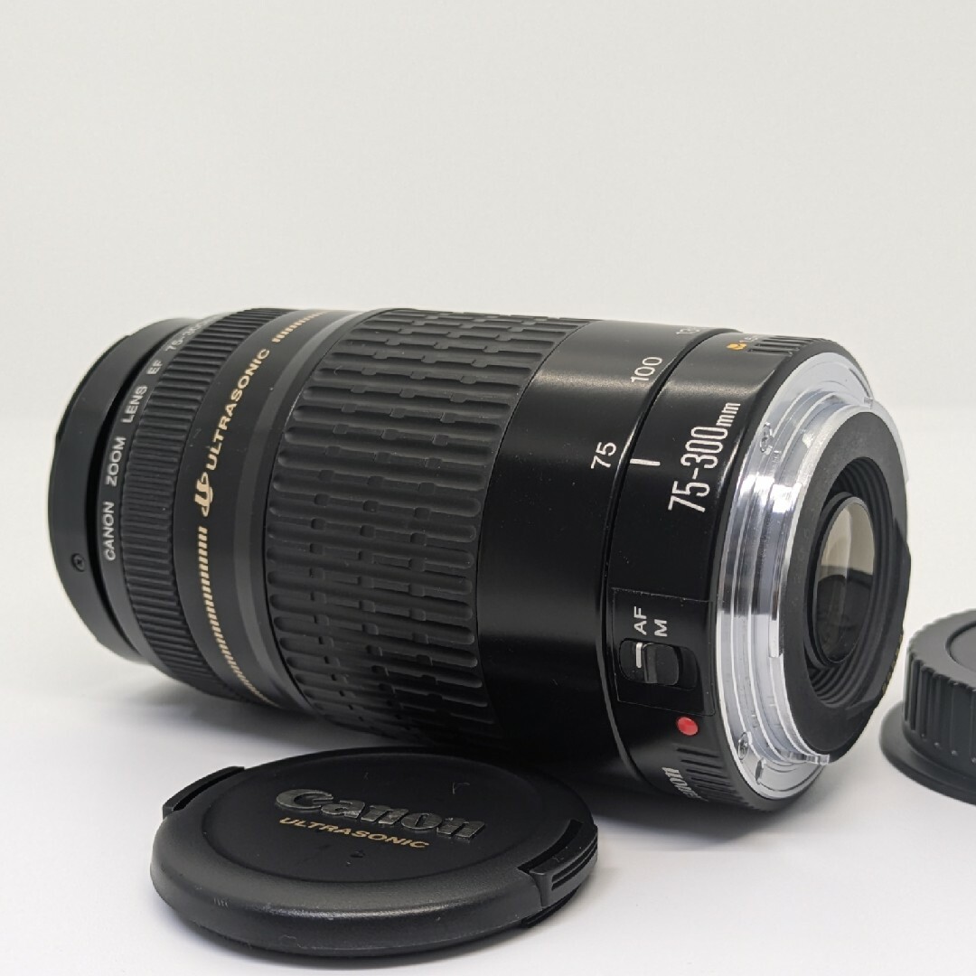 9月11日限定販売♪【超望遠レンズ】Canon EF 75-300mm USM 9月11日限定販売♪【超望遠レンズ】Canon EF 75-300mm USM