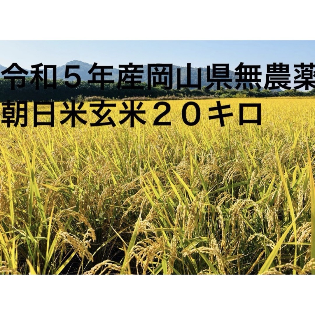 令和5年産岡山県無農薬朝日米玄米20キロ農家直送 令和5年産岡山県無農薬朝日米玄米20キロ農家直送