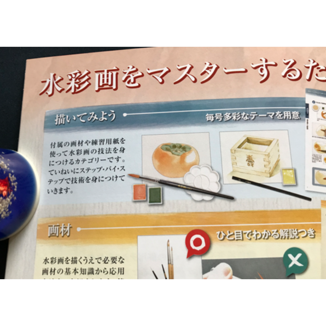 〇【初めてでも描ける】水彩画レッスンVol.21～Vol.49の通販