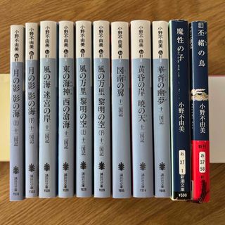 コウダンシャ(講談社)の十二国記シリーズ　11冊(その他)