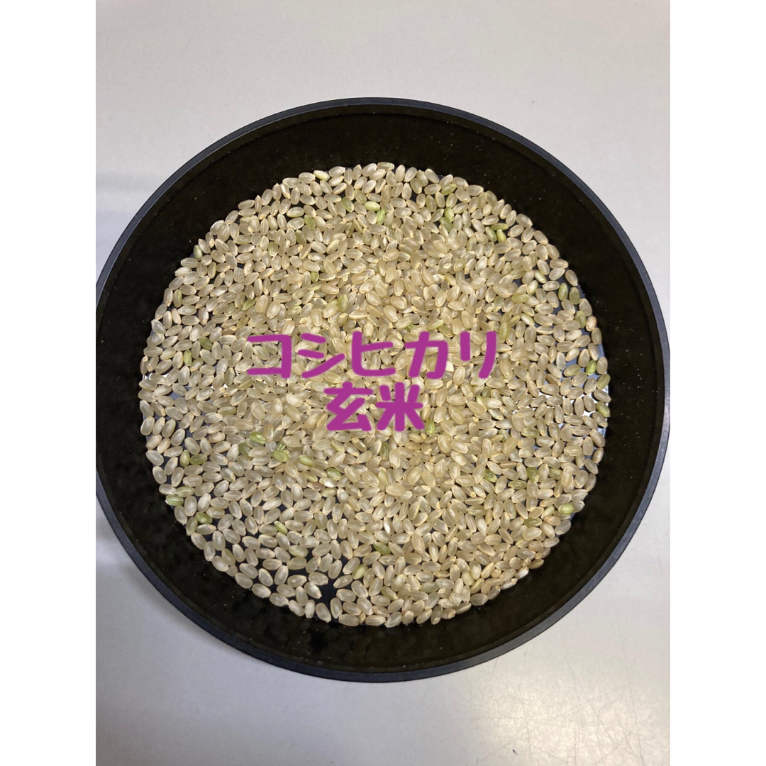新米・令和6年産「京都府丹後産コシヒカリ」玄米30㎏ 送料無料 新米・令和6年産「京都府丹後産コシヒカリ」玄米30㎏ 送料無料