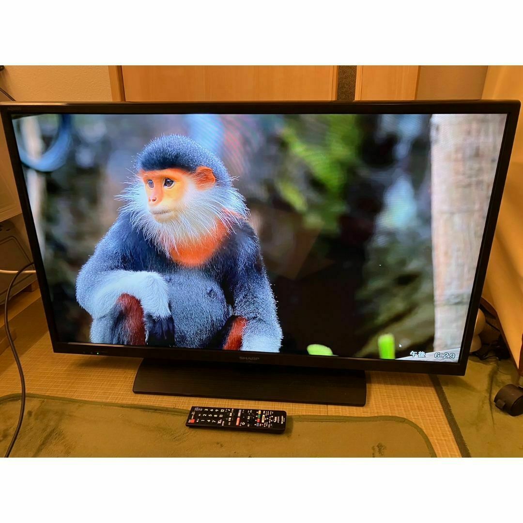 SHARP シャープ 40型 テレビ LC-40H11 2014年製 超美品! テレビ SHARP シャープ 40型 テレビ LC-40H11 2014年製 超美品! テレビ