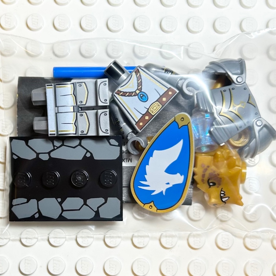 Lego(レゴ)のレゴ　ドラゴンボーン・パラディン　ミニフィグ キッズ/ベビー/マタニティのおもちゃ(知育玩具)の商品写真