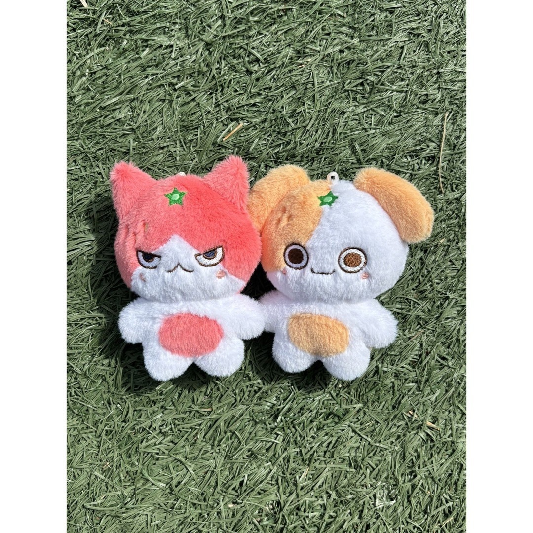 &team エンチム ニコラス ぬいぐるみ マスター グッズの通販 by &team エンチム ニコラス ぬいぐるみ マスター グッズの通販 by