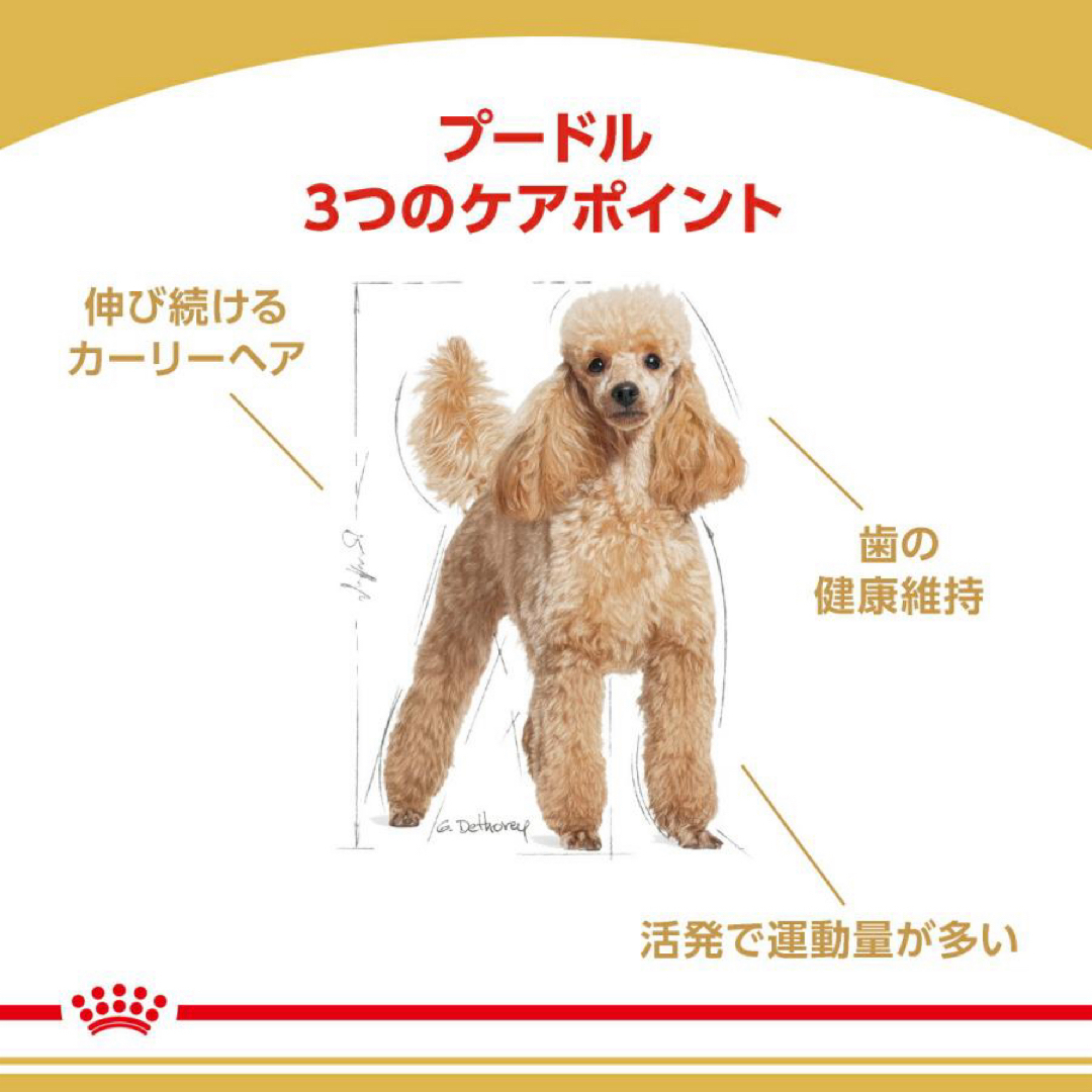 ロイヤルカナン ミニチュアシュナウザー 7.5kg×2 愛らし ロイヤルカナン ミニチュアシュナウザー 7.5kg×2 愛らし