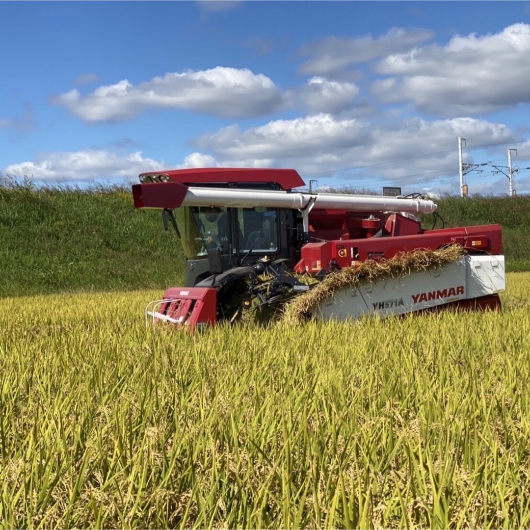 大特価】新米 令和6年産 ヒノヒカリ 玄米 無農薬 30kg 大特価】新米 令和6年産 ヒノヒカリ 玄米 無農薬 30kg
