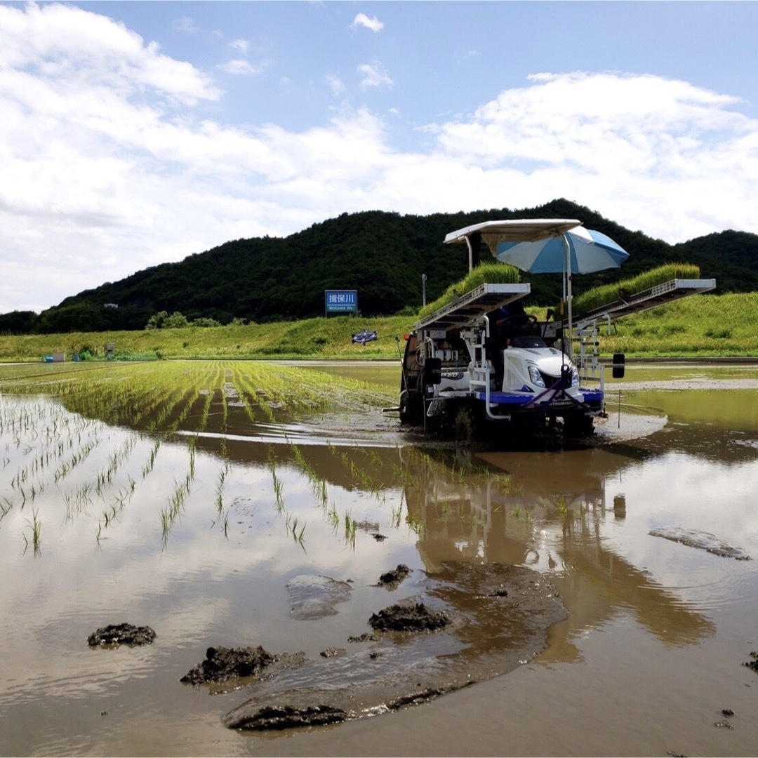 大特価】新米 令和6年産 ヒノヒカリ 玄米 無農薬 30kg 大特価】新米 令和6年産 ヒノヒカリ 玄米 無農薬 30kg