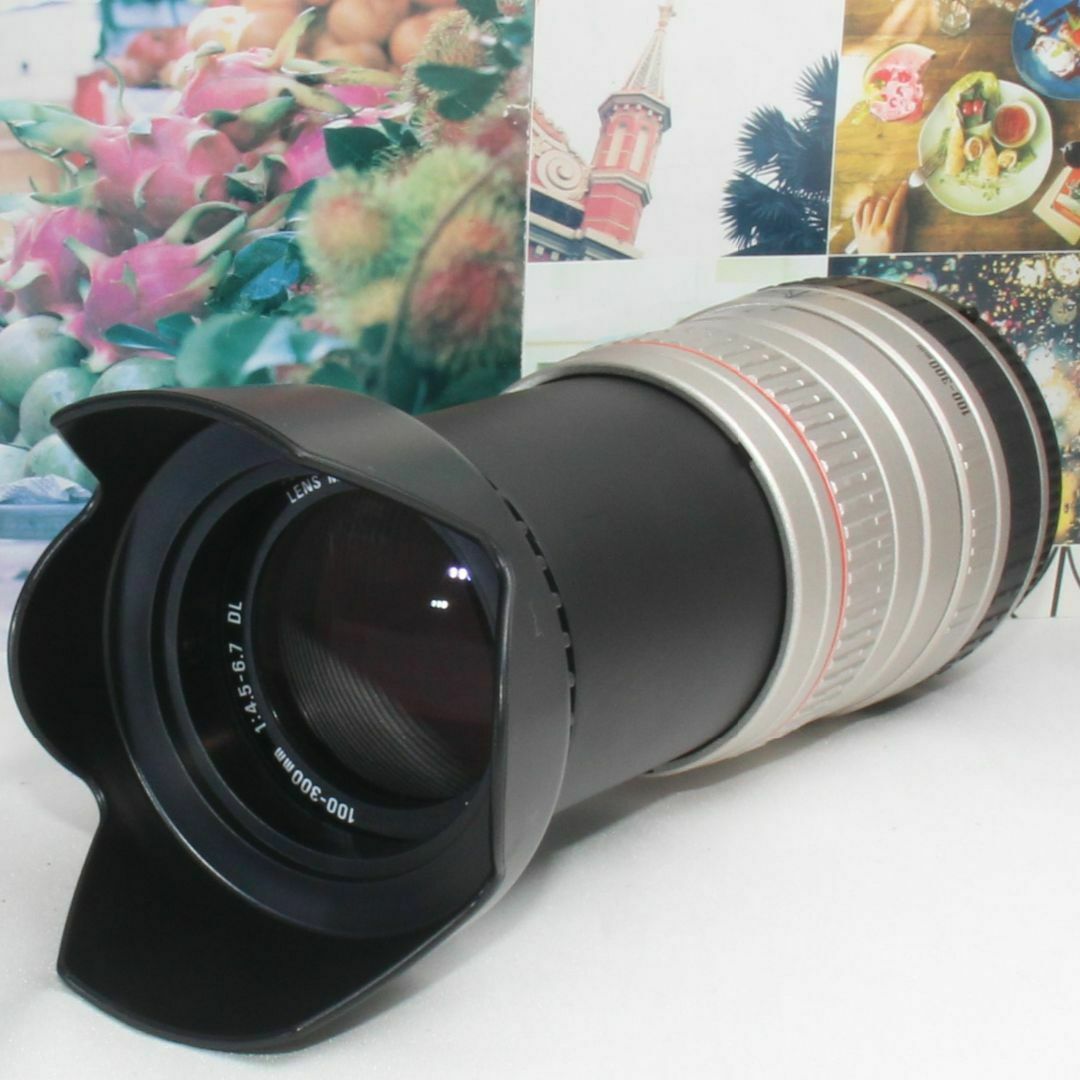 ❤️憧れのド迫力の超望遠❤️シグマ 100-300mm ペンタックス用 ❤️憧れのド迫力の超望遠❤️シグマ 100-300mm ペンタックス用