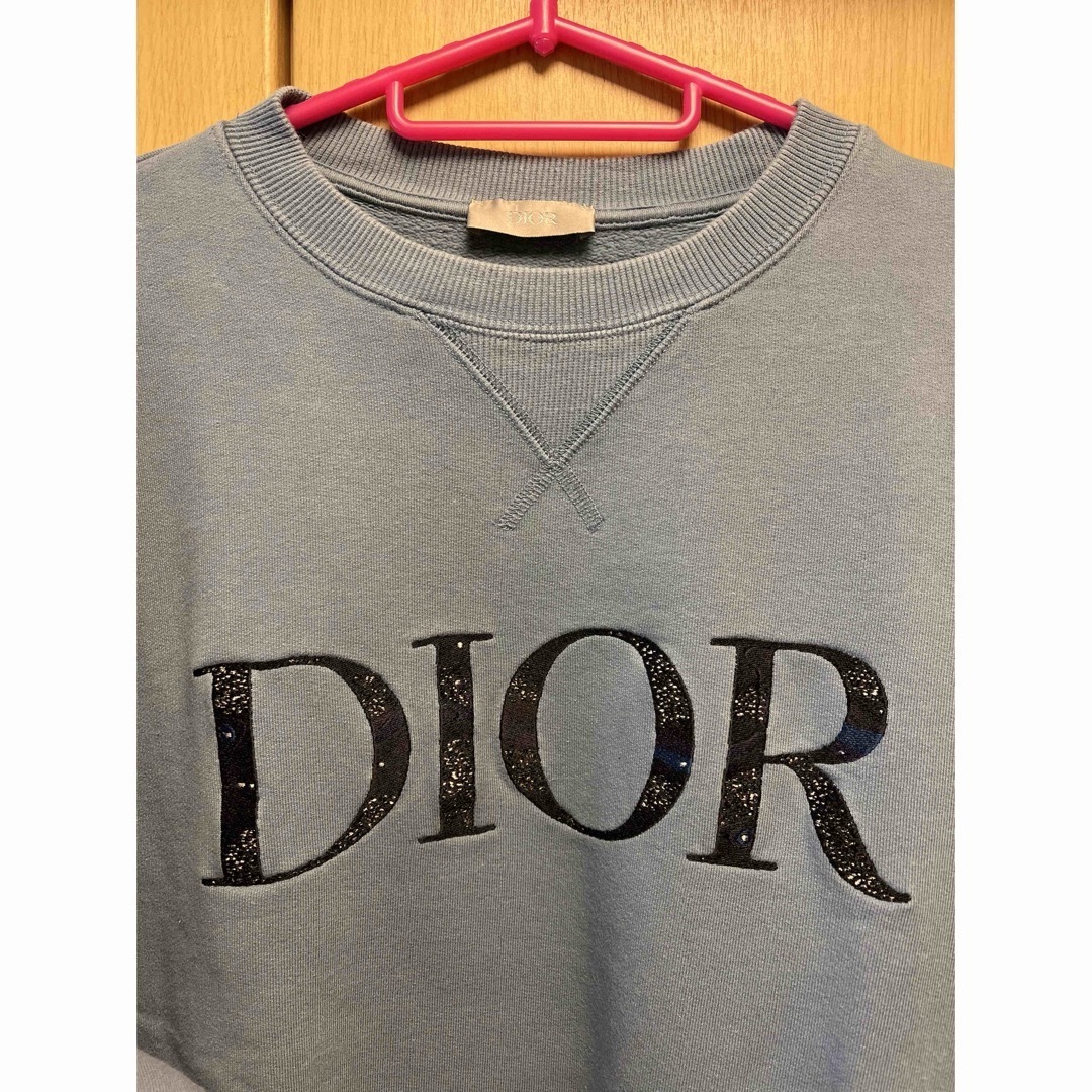 正規 DIOR ディオール ピータードイグ スウェット 正規 DIOR ディオール ピータードイグ スウェット
