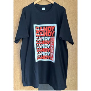 THE JESUS & MARY CHAIN ジーザス＆メリーチェイン Tシャツ(Tシャツ/カットソー(半袖/袖なし))