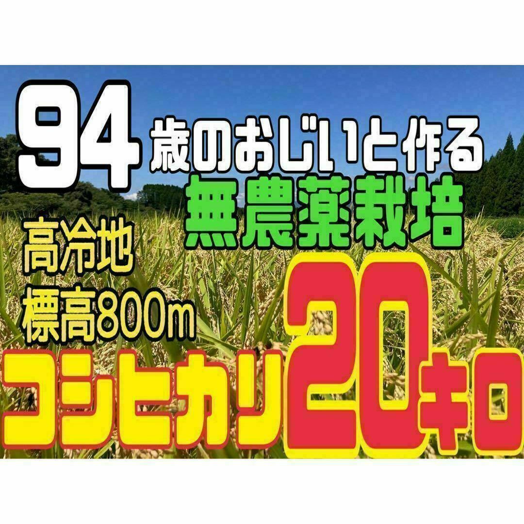 2024新米 コシヒカリ 20キロ 栽培期間中無農薬 高冷地 玄米 2024新米 コシヒカリ 20キロ 栽培期間中無農薬 高冷地 玄米