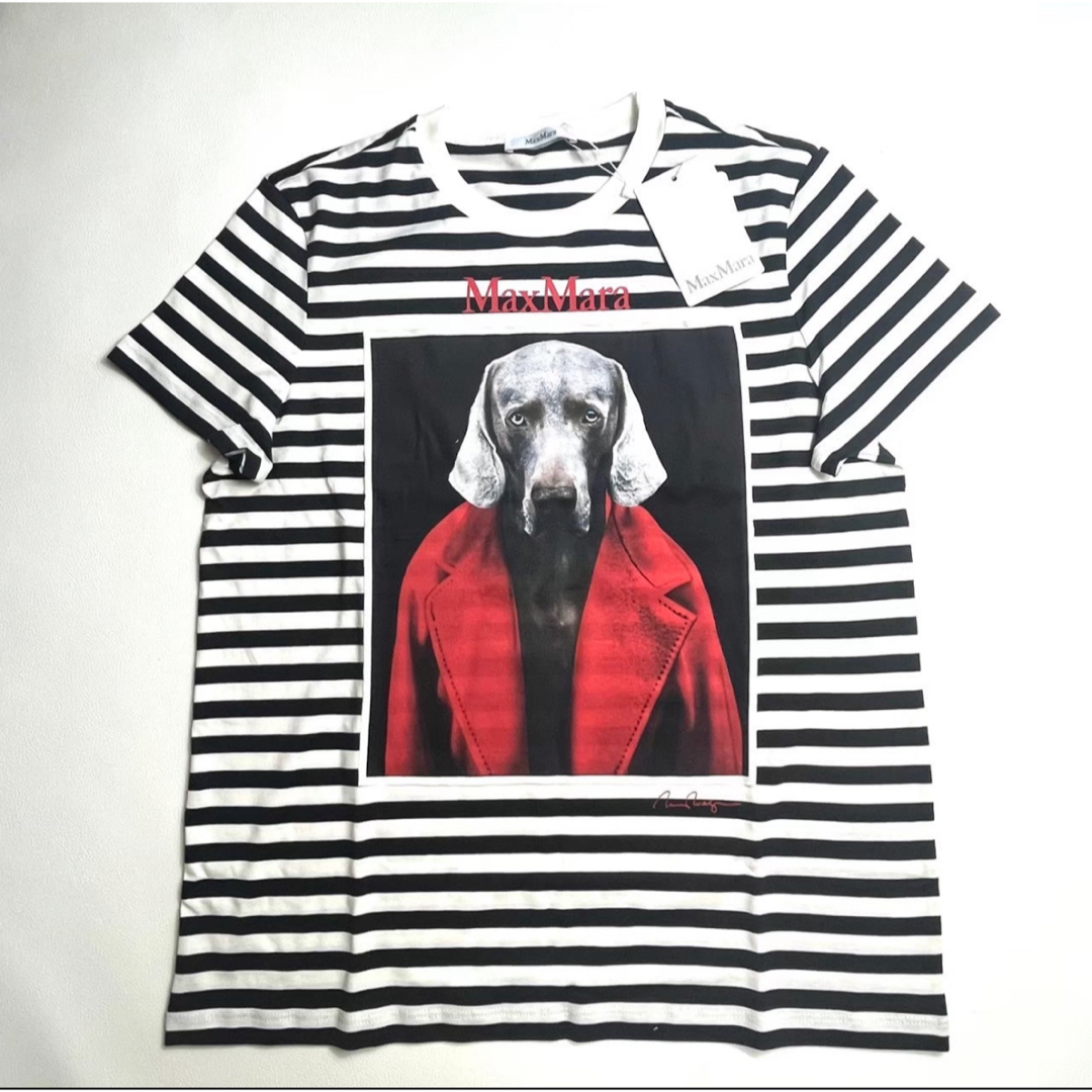 Max Mara - 今期 新品 MAX MARA ROSSO コットンジャージー T Max Mara - 今期 新品 MAX MARA ROSSO コットンジャージー T