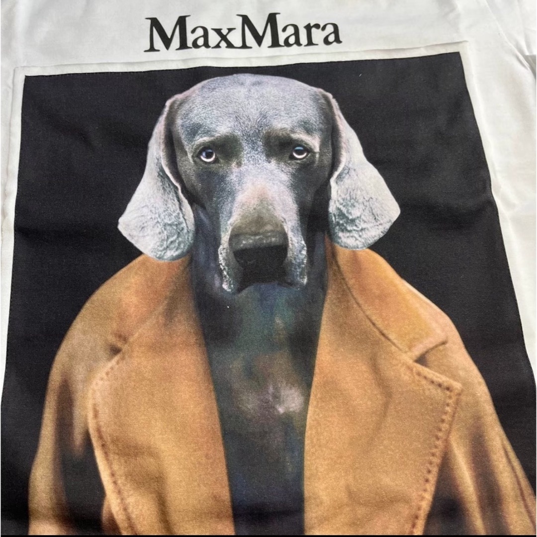 MAX MARA CIPRIA コットンジャージー Tシャツ M MAX MARA CIPRIA コットンジャージー Tシャツ M